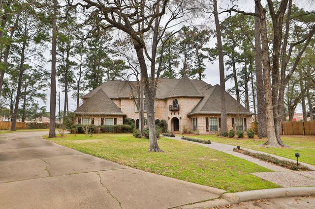 15235 Rainhollow Drive, Houston, TX 77070