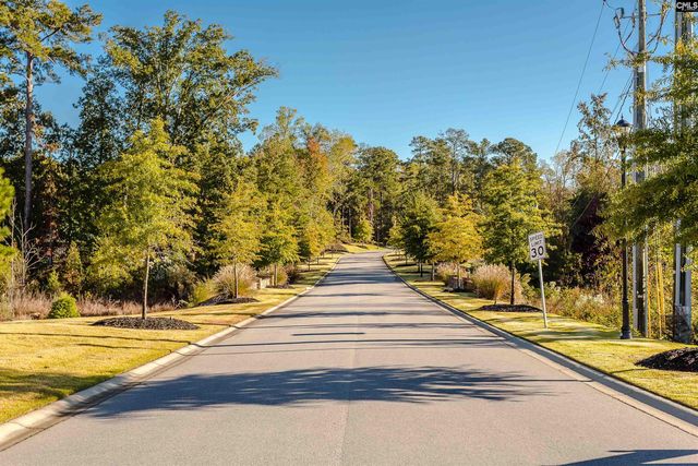 436 Rainbow Shad Way, Lexington, SC 29072