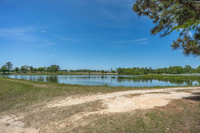 225 Burma Road, Lexington, SC 29072