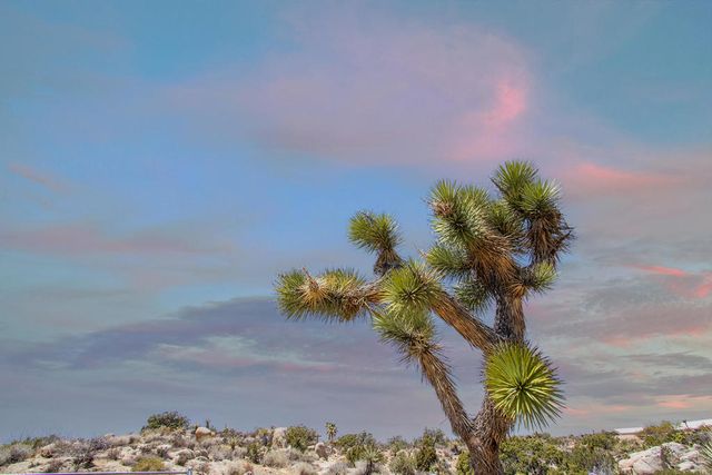 56949 Spencer Road, Yucca Valley, CA 92284