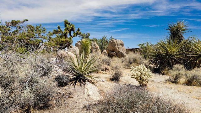 56949 Spencer Road, Yucca Valley, CA 92284