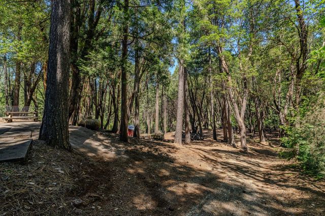 18844 Inspiration Dr, Pioneer, CA 95666