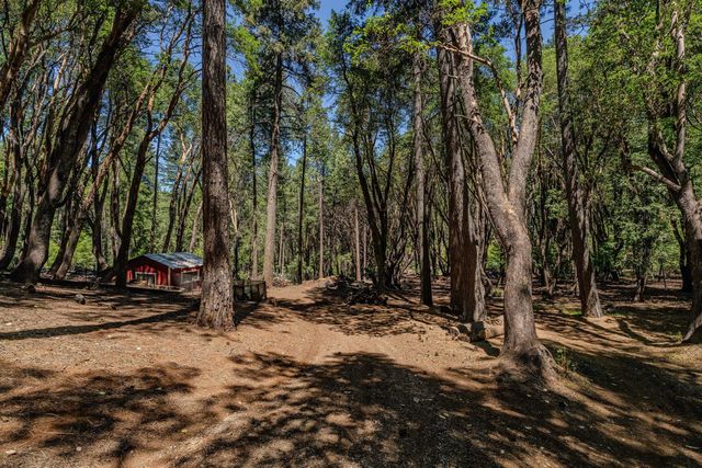 18844 Inspiration Dr, Pioneer, CA 95666