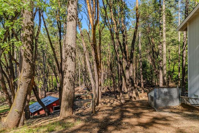 18844 Inspiration Dr, Pioneer, CA 95666