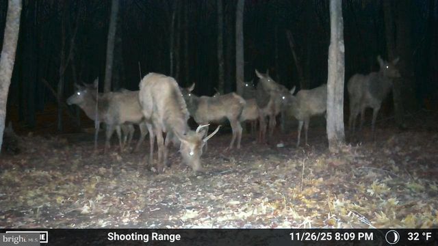 123 ROCK RIDGE, Snow Shoe, PA 16874