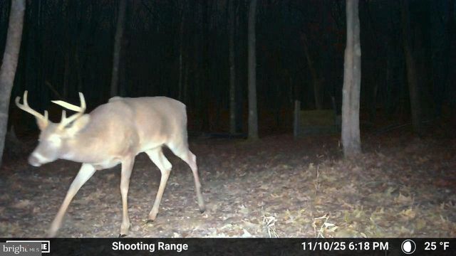 123 ROCK RIDGE, Snow Shoe, PA 16874