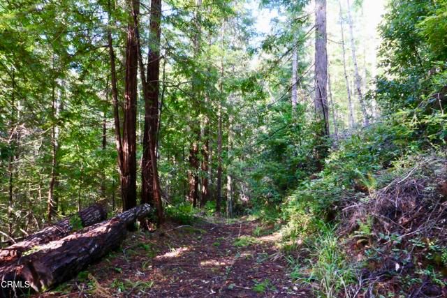 40401 Little River-Airport Road, Little River, CA 95456