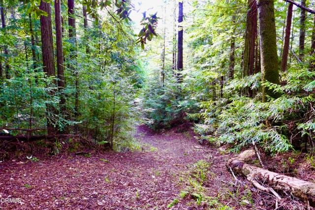 40401 Little River-Airport Road, Little River, CA 95456