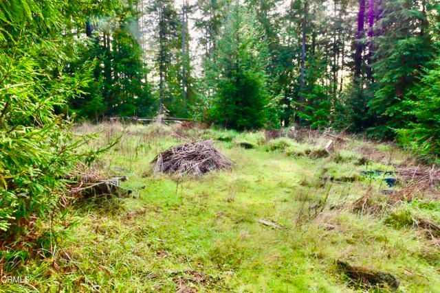 40401 Little River-Airport Road, Little River, CA 95456