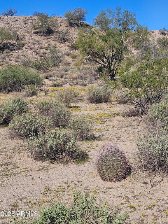 29240 W ASHLER HILLS Drive 107, Wittmann, AZ 85361 — photo 5