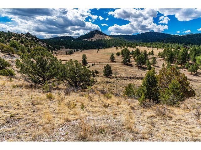 177 Bunker Hill Cir, Silver Cliff, CO 81252