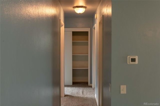 1417 23rd Ave Ct, Greeley, CO 80634