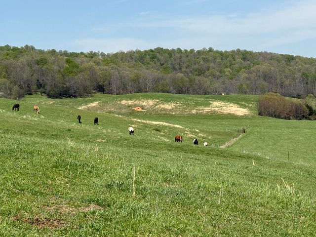 1066 Duncan Valley Road Road, Monticello, KY 42633