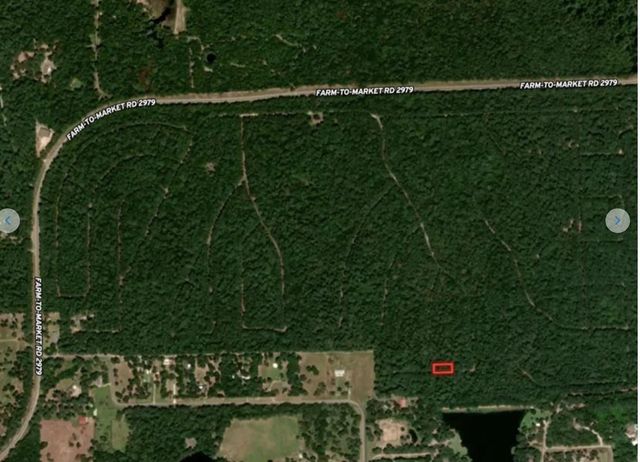 30810 Papoose Drive, Hempstead, TX 77445