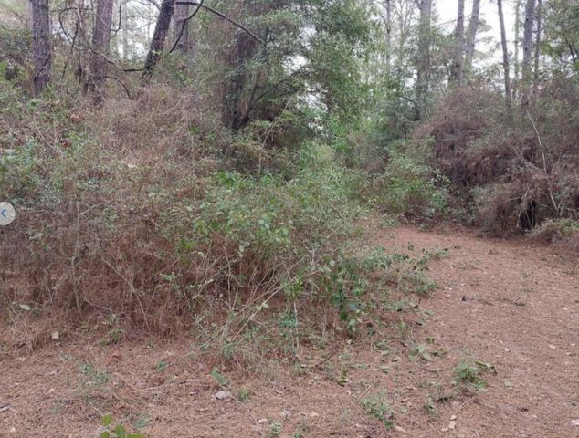 30810 Papoose Drive, Hempstead, TX 77445