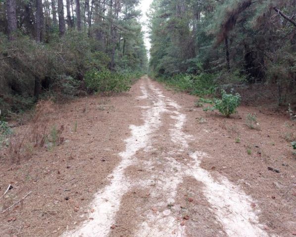 30810 Papoose Drive, Hempstead, TX 77445