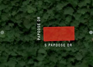 30810 Papoose Drive, Hempstead, TX 77445