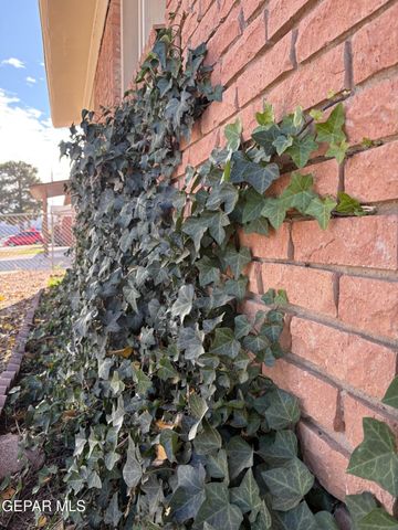 10269 Yelllowstone St. Street, El Paso, TX 79924