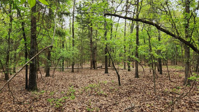 TBD 6.16 acres FM 115, Scroggins, TX 75480