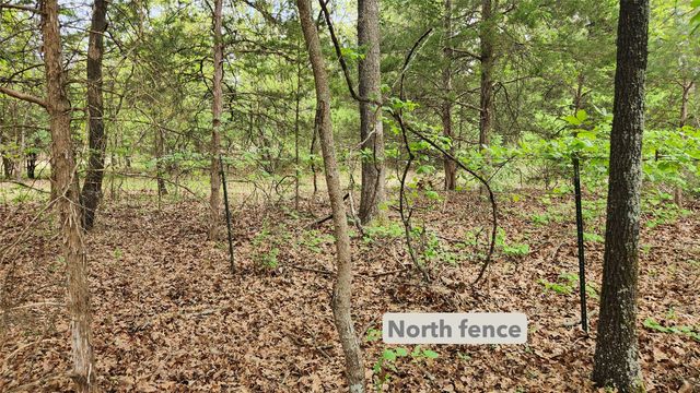 TBD 6.16 acres FM 115, Scroggins, TX 75480