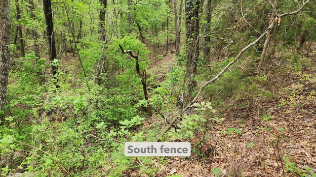 TBD 6.16 acres FM 115, Scroggins, TX 75480