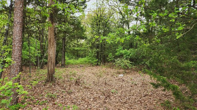 TBD 6.16 acres FM 115, Scroggins, TX 75480