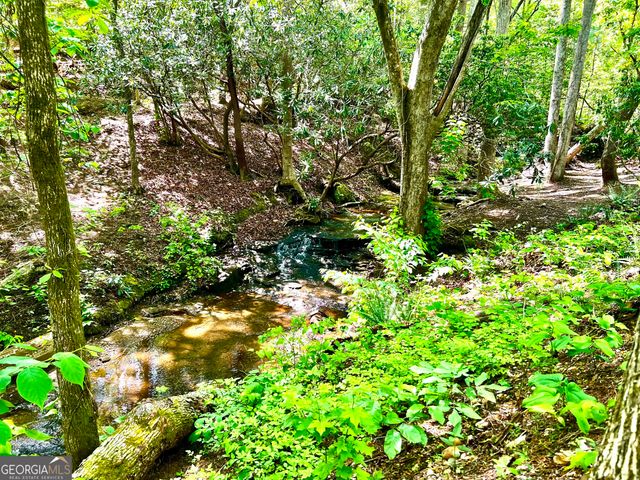 LOT 60 Waterfall Lane, Sautee Nacoochee, GA 30571