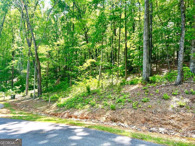LOT 60 Waterfall Lane, Sautee Nacoochee, GA 30571