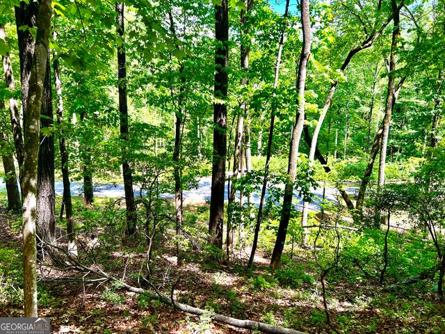 LOT 60 Waterfall Lane, Sautee Nacoochee, GA 30571