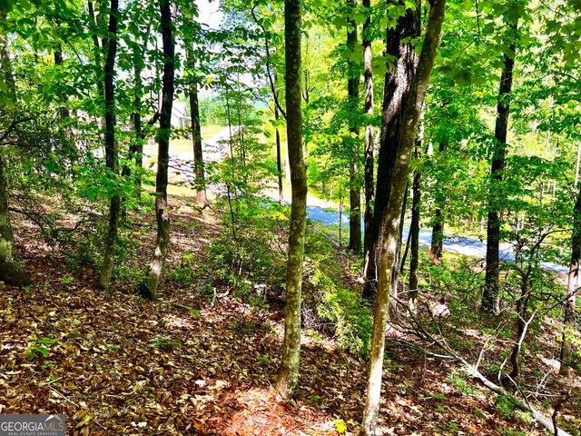 LOT 60 Waterfall Lane, Sautee Nacoochee, GA 30571