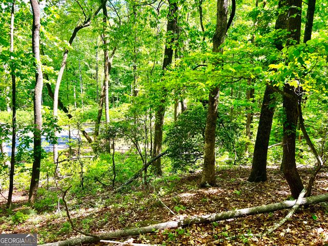 LOT 60 Waterfall Lane, Sautee Nacoochee, GA 30571