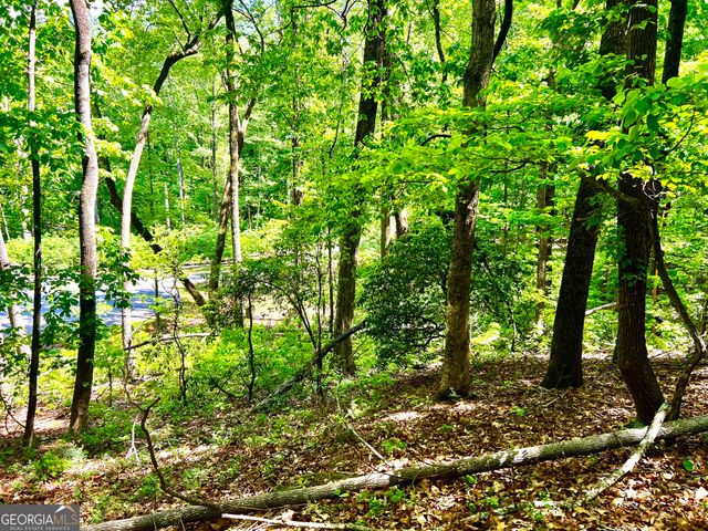 LOT 60 Waterfall Lane, Sautee Nacoochee, GA 30571