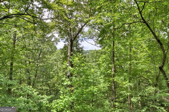 156 Dupont Drive, Blue Ridge, GA 30513