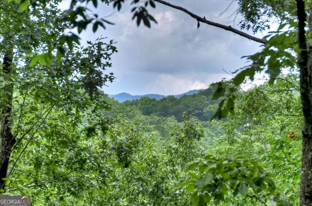 156 Dupont Drive, Blue Ridge, GA 30513