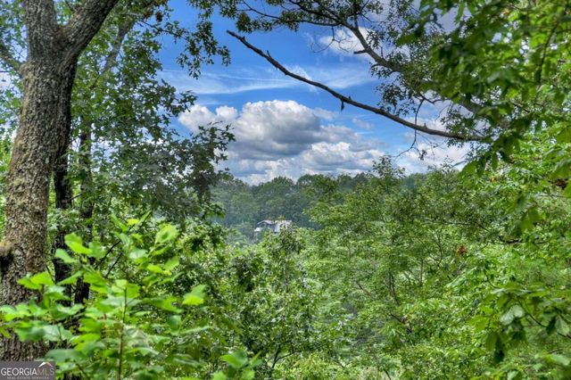 156 Dupont Drive, Blue Ridge, GA 30513