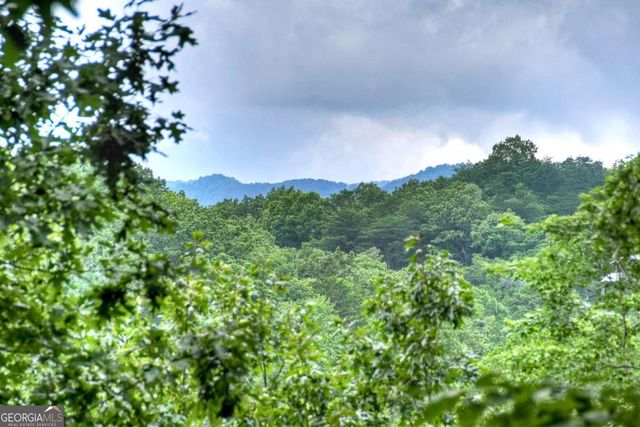 156 Dupont Drive, Blue Ridge, GA 30513