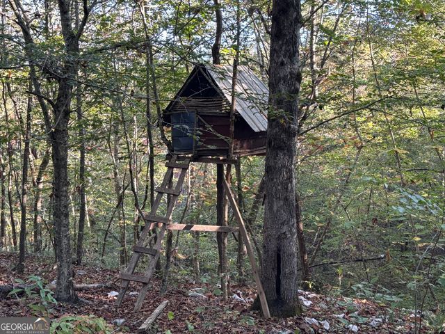 156 County Road 606, Woodland, AL 36280