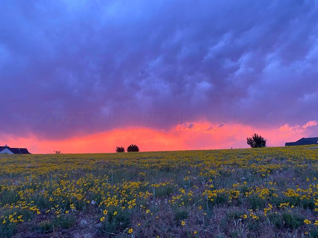 14800 Canyon Pass Road, Amarillo, TX 79118