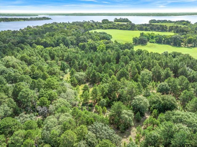 0 HWY 155, Frankston, TX 75763