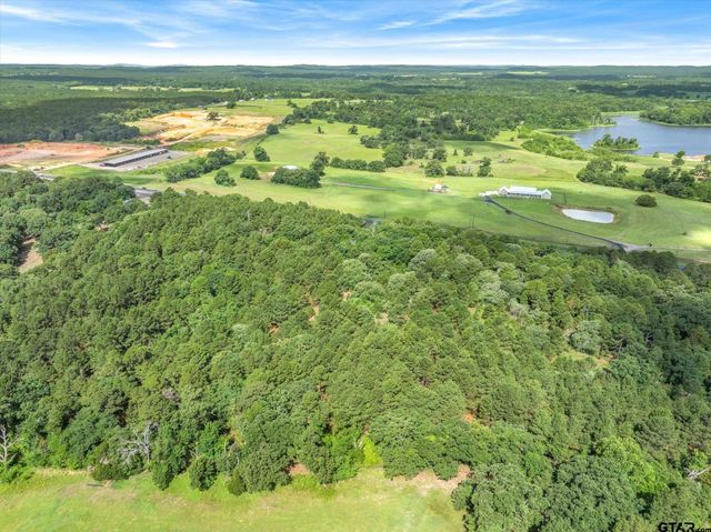 0 HWY 155, Frankston, TX 75763