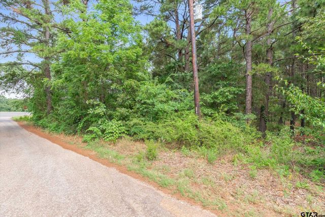 0 HWY 155, Frankston, TX 75763