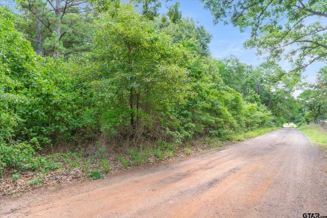 0 HWY 155, Frankston, TX 75763