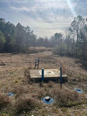 tbd Highway 701 North, Loris, SC 29569