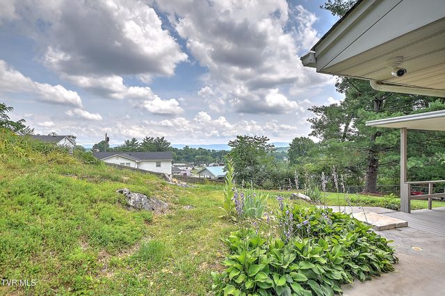 195 Pineview Drive, Bristol, VA 24201
