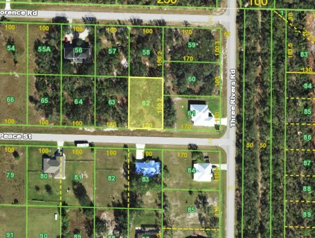 31122 PEACE STREET, Punta Gorda, FL 33982
