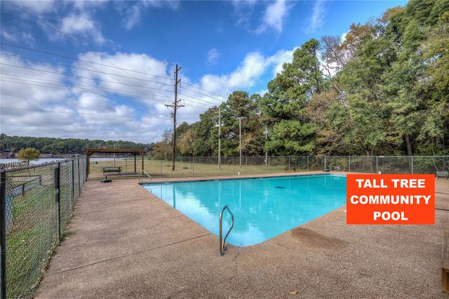 331 Spring Creek Drive, Mount Vernon, TX 75457