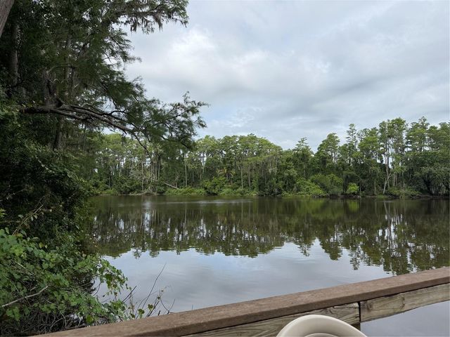 20893 HAULOVER COVE E 2, Lutz, FL 33558