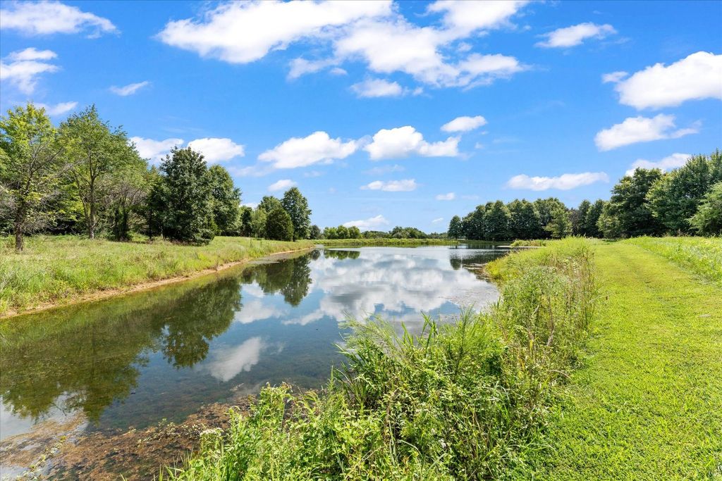 Image 28 of property listing at 7302 River Road, Iuka, IL 62849