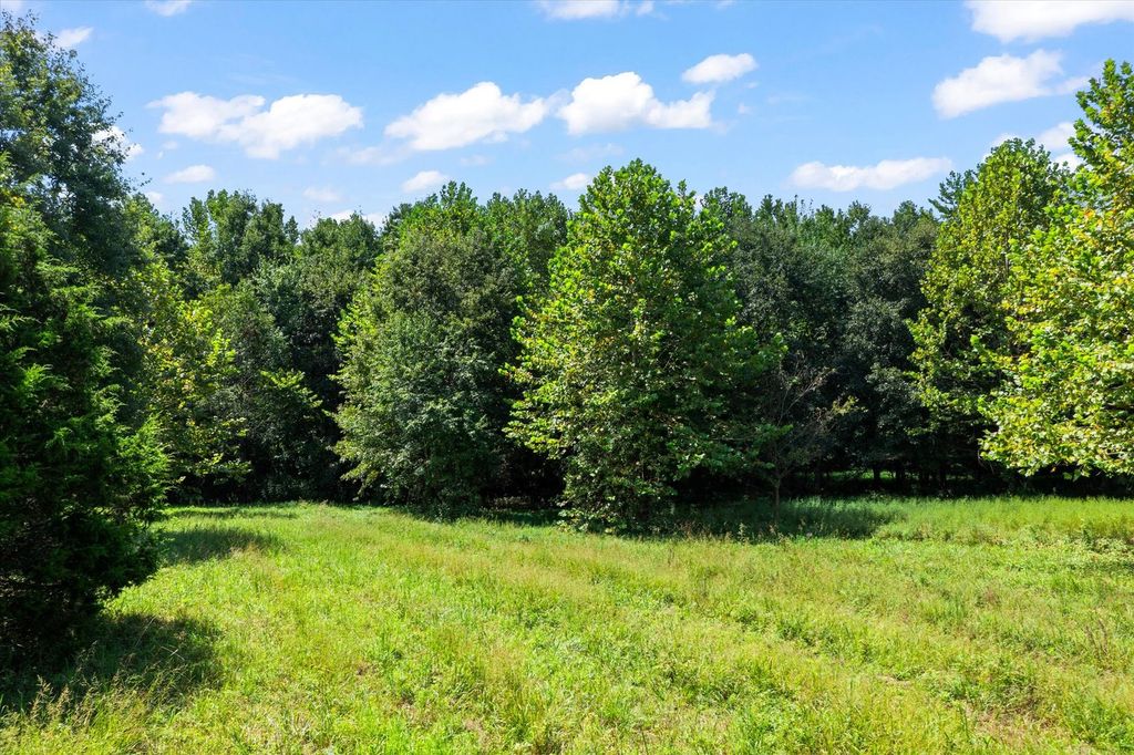 Image 39 of property listing at 7302 River Road, Iuka, IL 62849