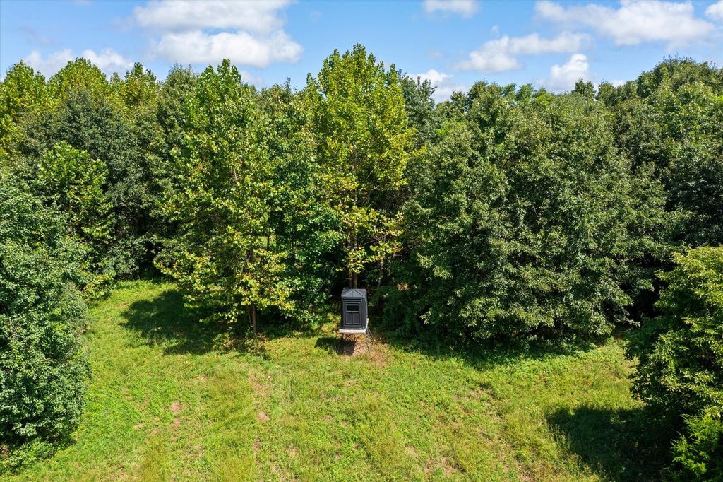 Image 41 of property listing at 7302 River Road, Iuka, IL 62849